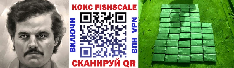 Купить закладки  Зубцов  COCAIN 98% 