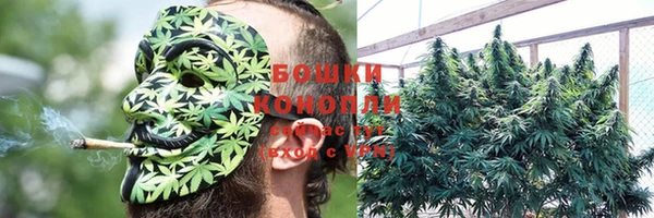 spice Заводоуковск