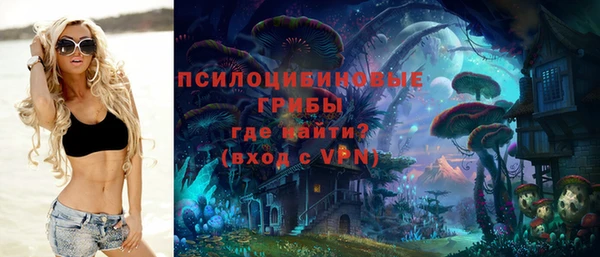 spice Заводоуковск