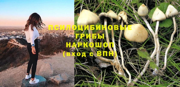 spice Заводоуковск