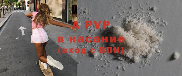 ПСИЛОЦИБИНОВЫЕ ГРИБЫ Ельня